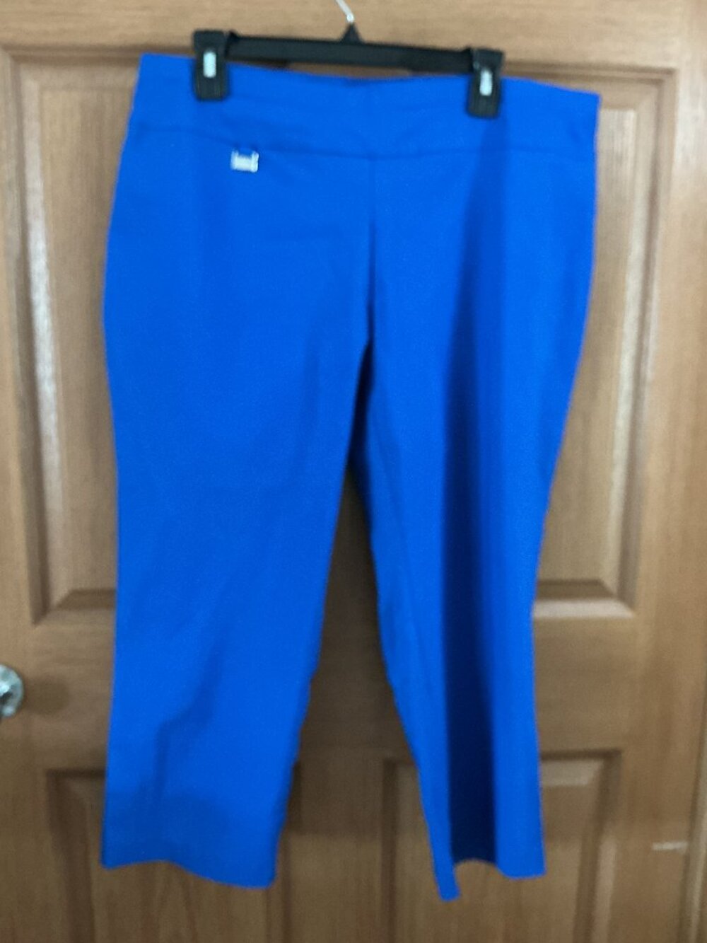 Alfani Blue Capris